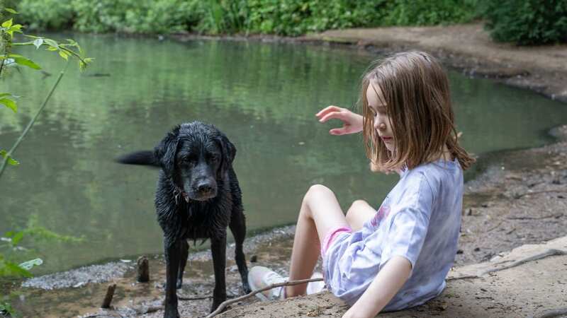 Mirror People’s Pet Awards - How labrador Oslo changed Emily’s life