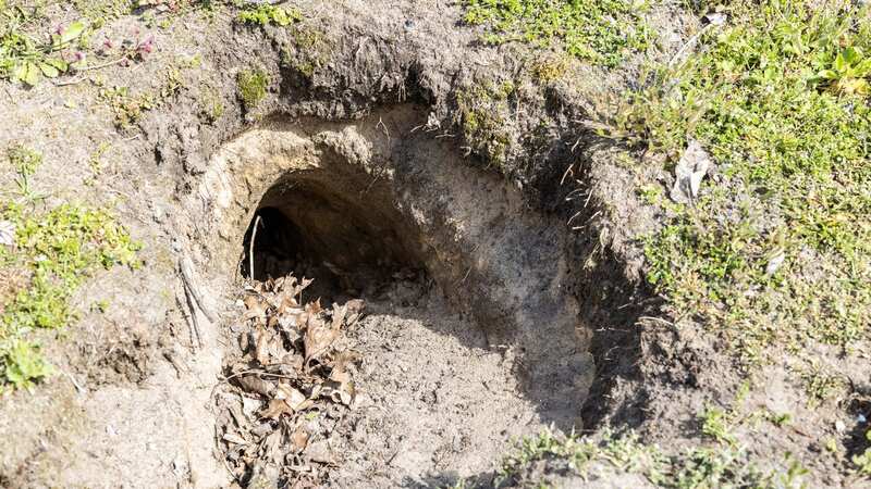 A couple have been left gobsmacked after discovering a bomb shelter in their garden (stock photo) (Image: Getty Images)