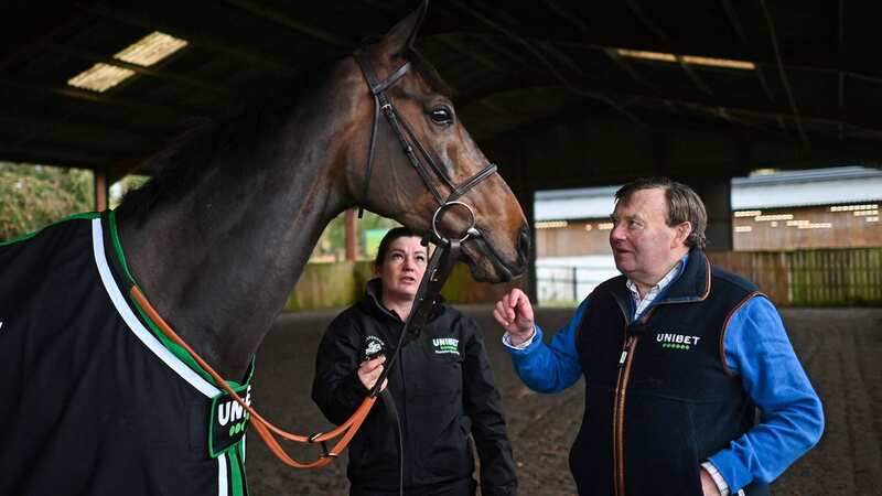 Trainer Nicky Henderson held a morning with the media on February 22, where he was pictured with Constitution Hill (Image: AFP via Getty Images)