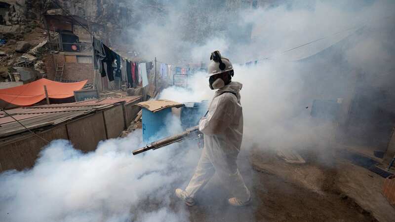 A member of a health brigade fumigates a street against the dengue virus in Peru in 2023 (Image: AFP via Getty Images)