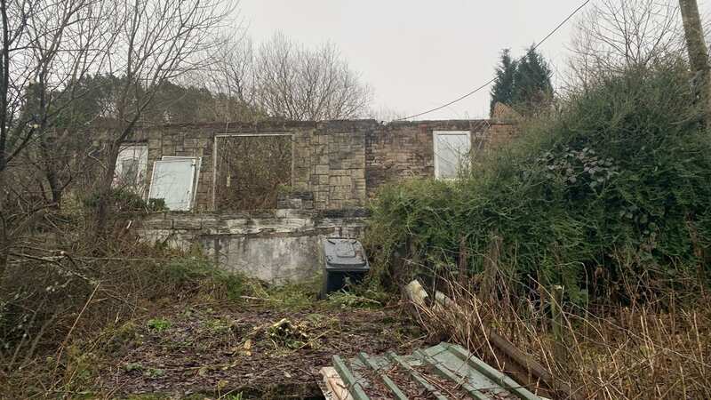 Auctioneers had to dig through bramble and bushes to reach the dilapidated bungalow (Image: Paul Fosh Auctions)