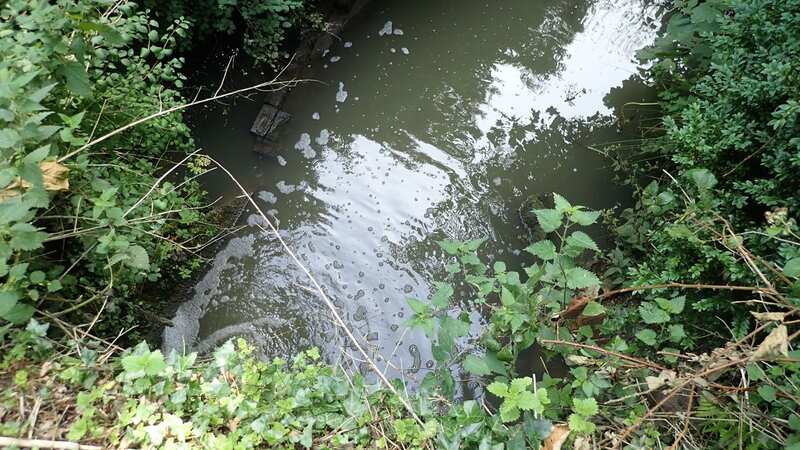 Untreated effluent was spilled into Shawford Lake Stream in Waltham Chase, Hampshire (Image: PA)