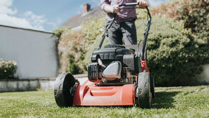You can do something now to help your garden in the future (Stock Image) (Image: Getty Images)