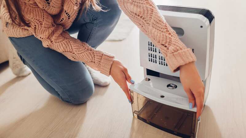 The heating expert warned about dehumidifiers (Stock Image) (Image: Getty Images/iStockphoto)