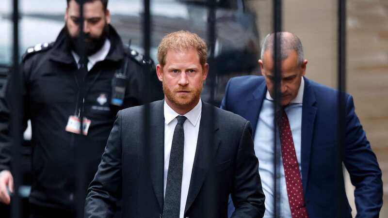 Harry and Meghan have hired former Met Police officers to protect them in the US (Image: Aaron Parfitt / SplashNews.com)
