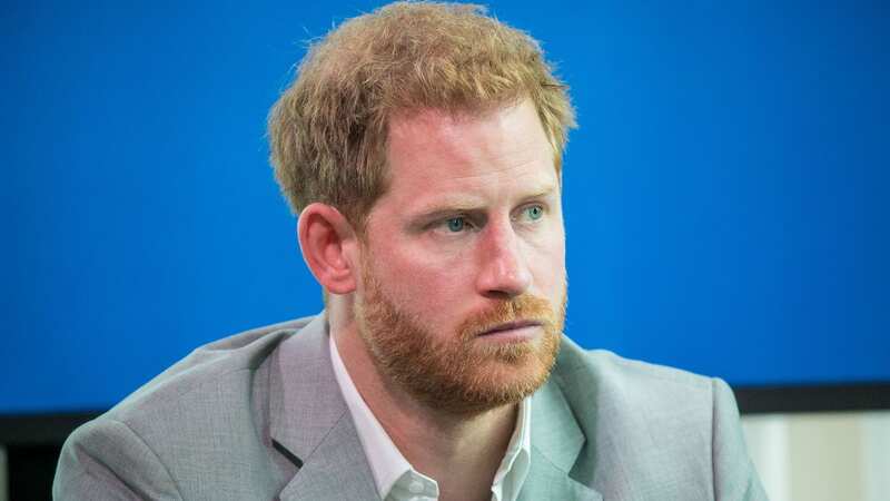Prince Harry has lost his battle against the Home Office over the level of his personal protection when in the UK (Image: SplashNews.com)