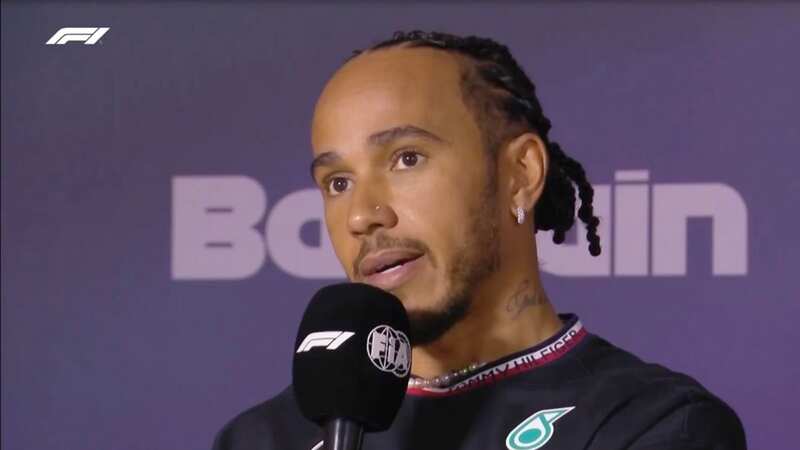Lewis Hamilton was asked about Christian Horner