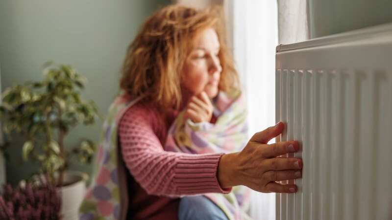 British Gas has extended its PeakSave Sundays scheme (Image: Getty Images)