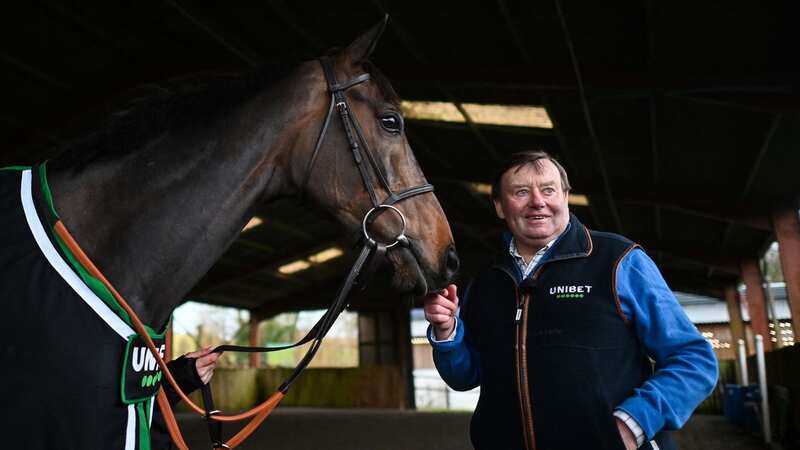 Constitution Hill and Nicky Henderson, whose star is 