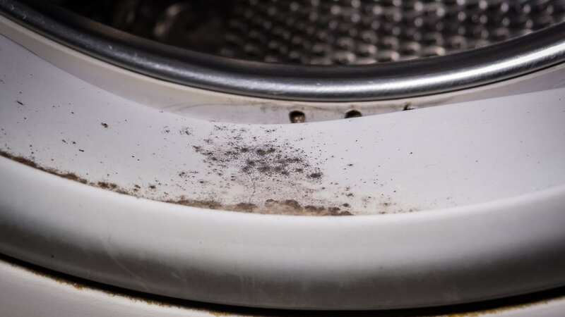 Black mould around the washing machine seal can cause a real stink (stock photo) (Image: Getty Images/iStockphoto)