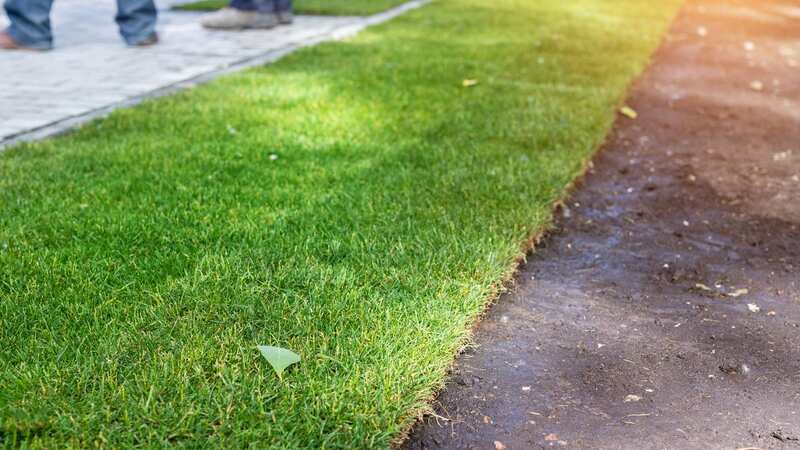 Straight lines can give a clear definition between your lawn and border (Image: Getty Images/iStockphoto)