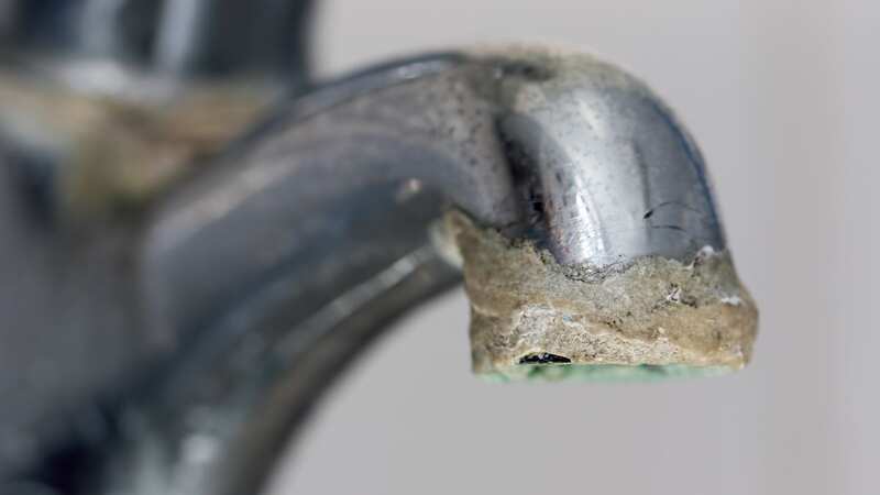 Get rid of limescale the natural way - without spending money on expensive cleaning products (Stock photo)