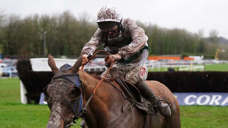 Mud-loving Nassalam could run in the Cheltenham Gold Cup (Image: PA)