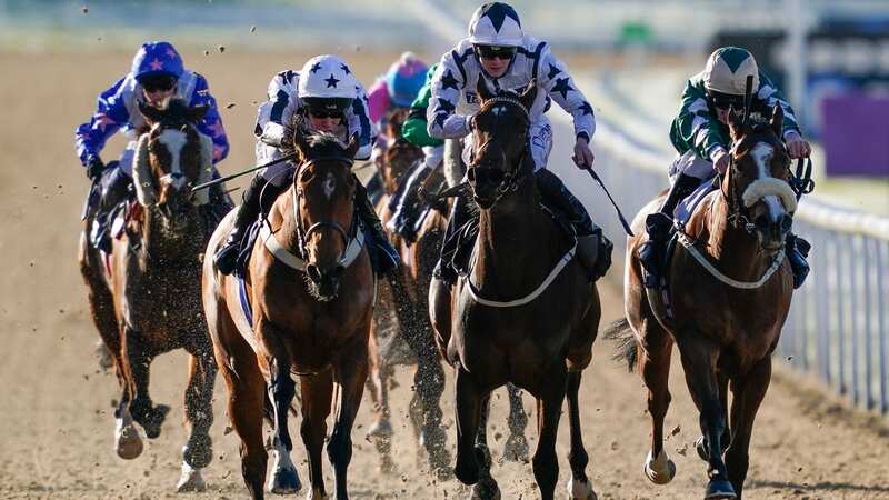 A punter picked the winners of eight races at Wolverhampton (Image: Getty Images)