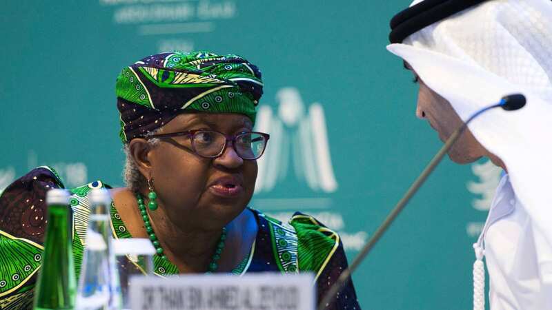 World Trade Organization Director-General Ngozi Okonjo-Iweala talks to Emirati Minister of State for Foreign Trade Thani bin Ahmed al-Zeyoudi (Image: Copyright 2024 The Associated Press. All rights reserved)