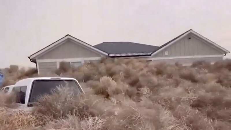 Residents in South Jordan, Utah woke up to massive piles of tumbleweeds (Image: X)