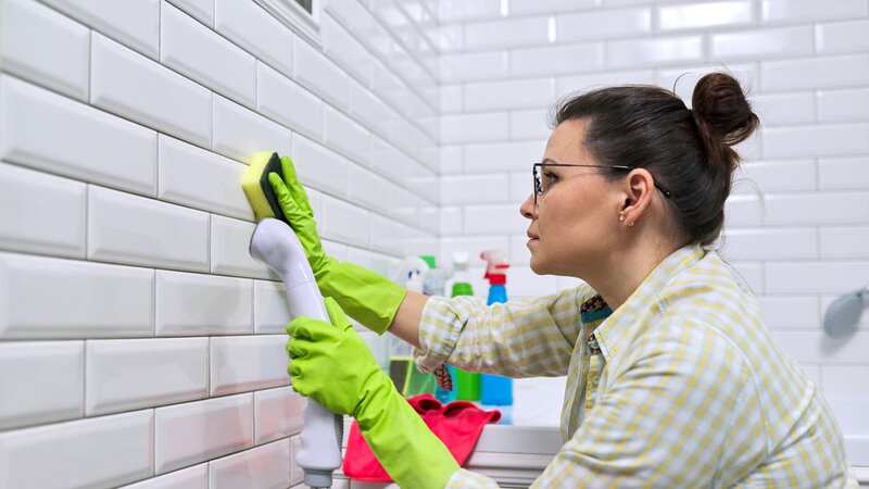 The hack means you will not need to deep clean bathrooms (Stock Image) (Image: Getty Images/iStockphoto)