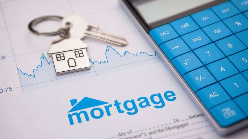A mortgage advisor says there are four things lenders do not want to see on your bank statements (Stock Image) (Image: Getty Images/iStockphoto)