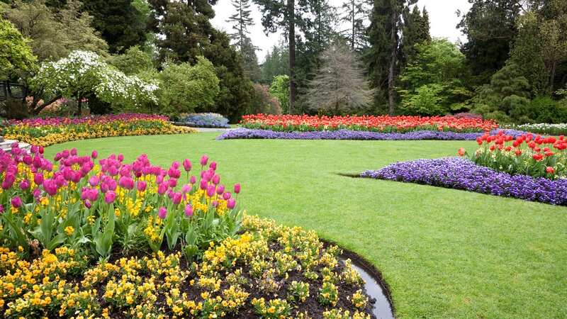Pristine edges can really level up your lawn (stock image) (Image: Getty Images)