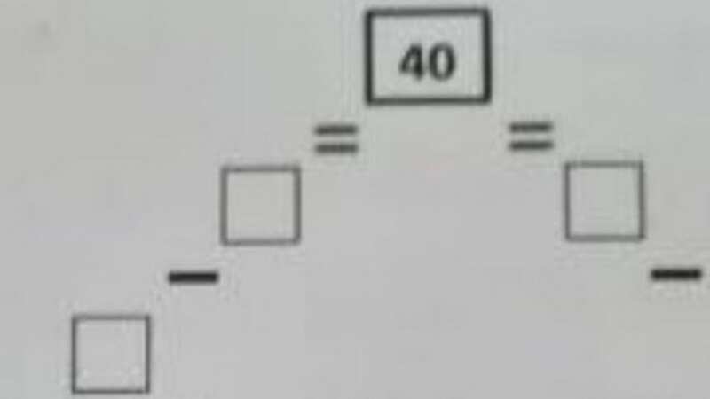 The maths question and its complex layout asks you to fill in the blank squares (Image: reddit)