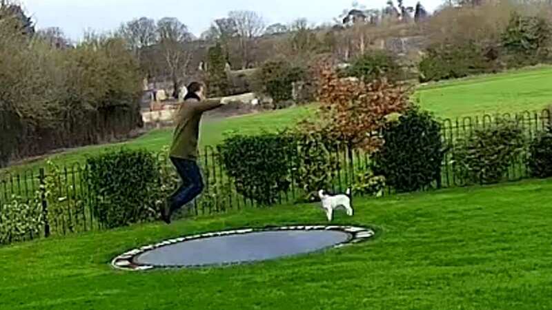 Hilarious moment man crashes through trampoline into huge pool of water