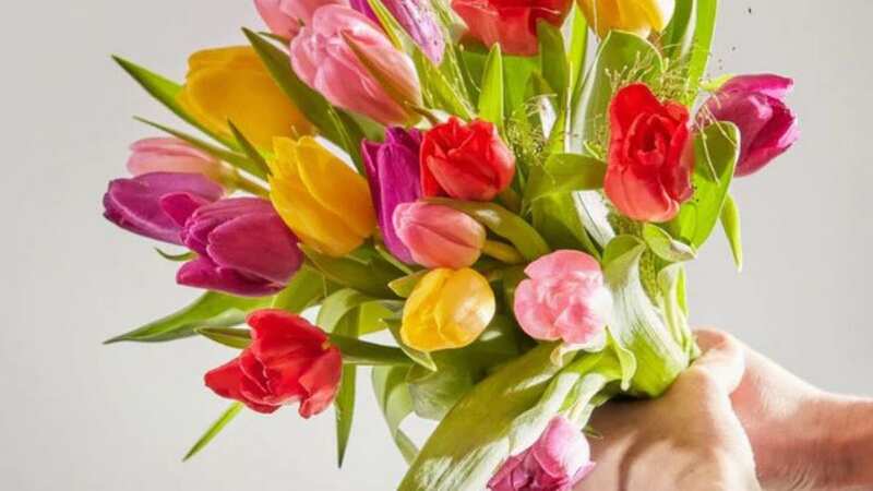 Spring flowers are a lovely choice to send this Mother