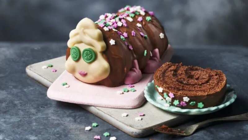 Fans were left fuming over one aspect of the M&S cake (Image: M&S)