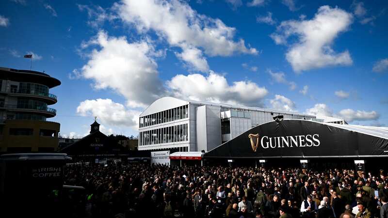 A pint of Irish stout will be offered at a cut price during the Cheltenham Festival (Image: Getty Images)