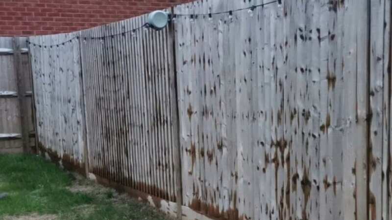 A woman is livid that her neighbour painted their fence 