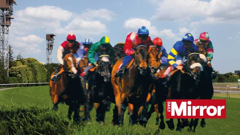 Celebrate Cheltenham with great coverage and reader offers in your Daily Mirror