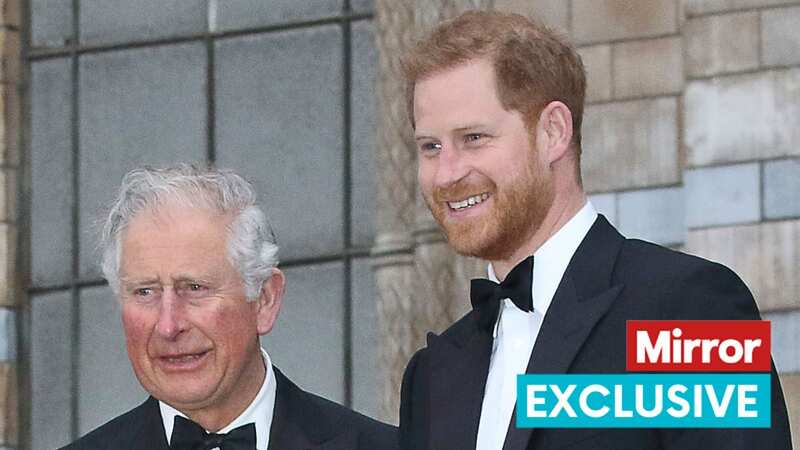 Harry recently reunited with his father Charles after months of estrangement (Image: LightRocket via Getty Images)