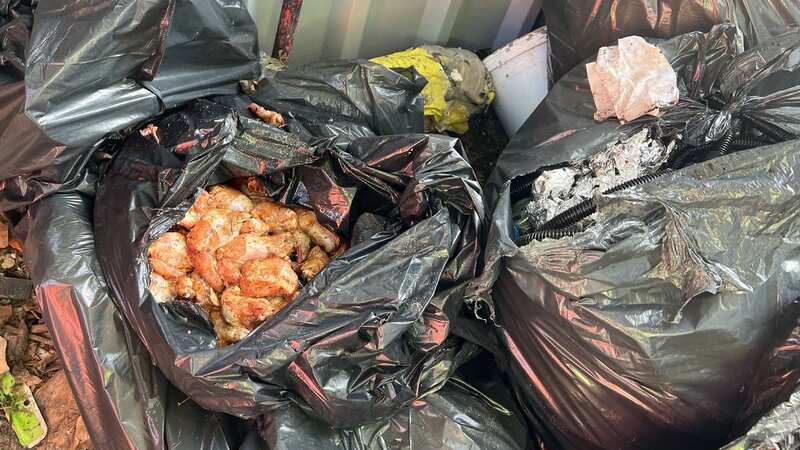 Raw chicken was within the dumped bin bags (Image: Redbridge Council)