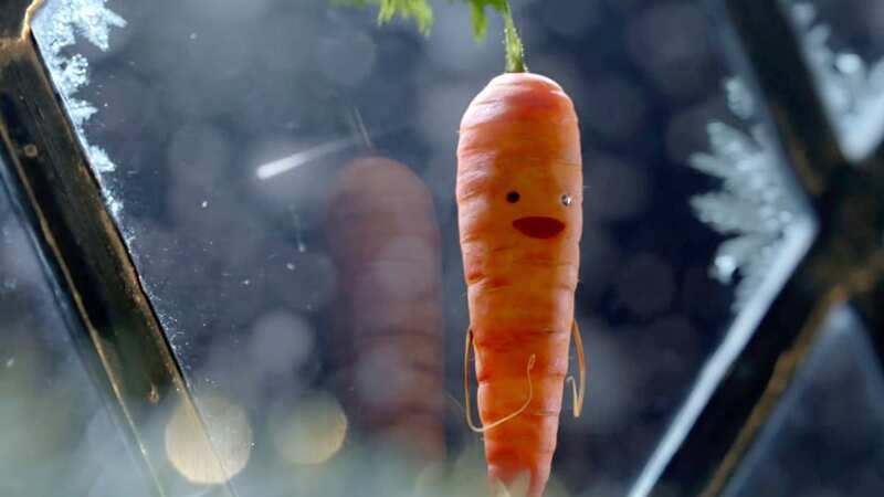 Kevin the Carrot first graced our screens in 2016, and stole the nation