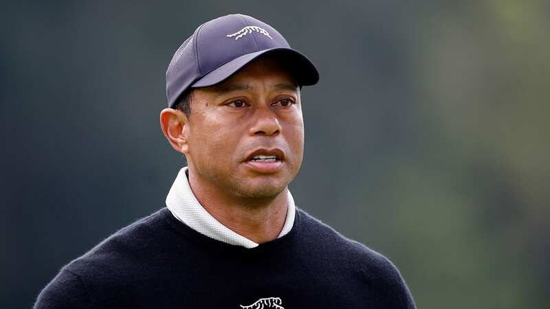 Tiger Woods did not feature in Full Swing (Image: Getty Images)