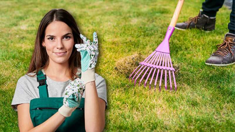 Moss in your lawn is annoying, but there are several straightforward ways of getting on top of it (Image: Getty)