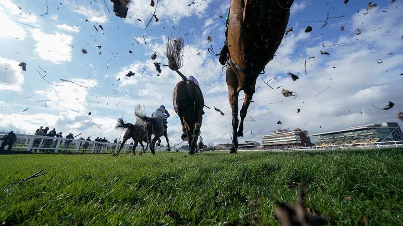 A jockey has been banned for six months after admitting making over 2,000 bets (Image: Getty Images)