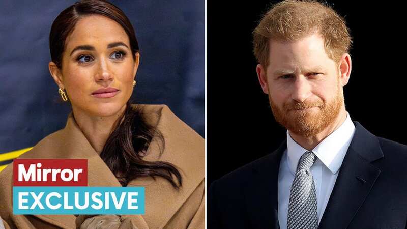 Meghan Markle and Prince Harry are not close with the Royal Family (Image: REX/Shutterstock)
