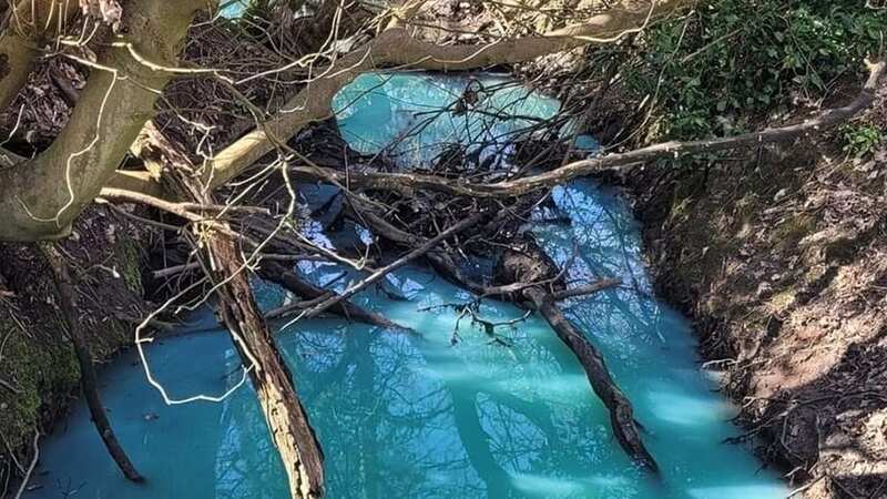 David shared a picture of the stream having turned blue (Image: David Orchard/MEN MEDIA)