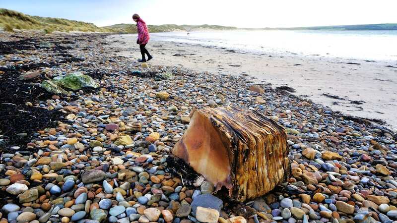 The mysterious bundle that washed up on Keiss Beach in Scotland which could be from the Titanic (Image: Jam Press/DGS)
