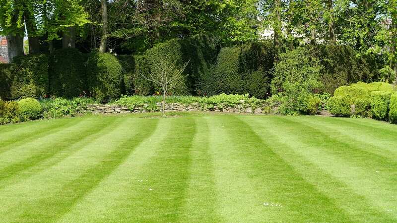 Gardener Bo Petterson has shared his go-to trick for a perfectly level lawn (Image: Getty Images/iStockphoto)