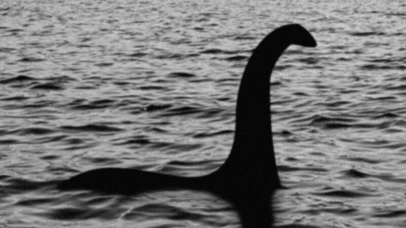 An alleged sighting of the legendary Loch Ness Monster [file image] (Image: Getty Images)