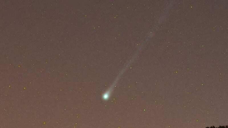 The Halley-type comet over Somerset (Image: Josh Dury/SWNS)