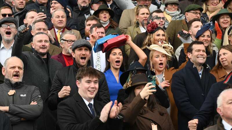 Fans watch the action on day one of the 2024 Cheltenham Festival (Image: Getty)