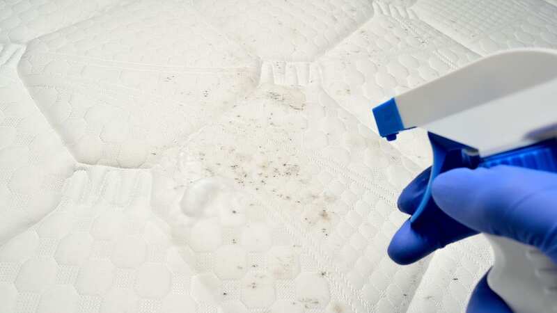 Your mattress is the perfect moist home for fungus to live (Image: Getty Images/iStockphoto)