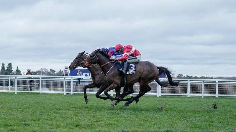 Jonathan Burke riding Crambo (red) finished just ahead of Paisley Park in the Howden Long Walk Hurdle at Ascot (Image: Getty Images)