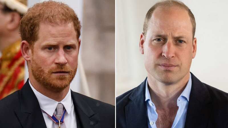 The moment the world knew Harry and William were at blows as Harry recalled 