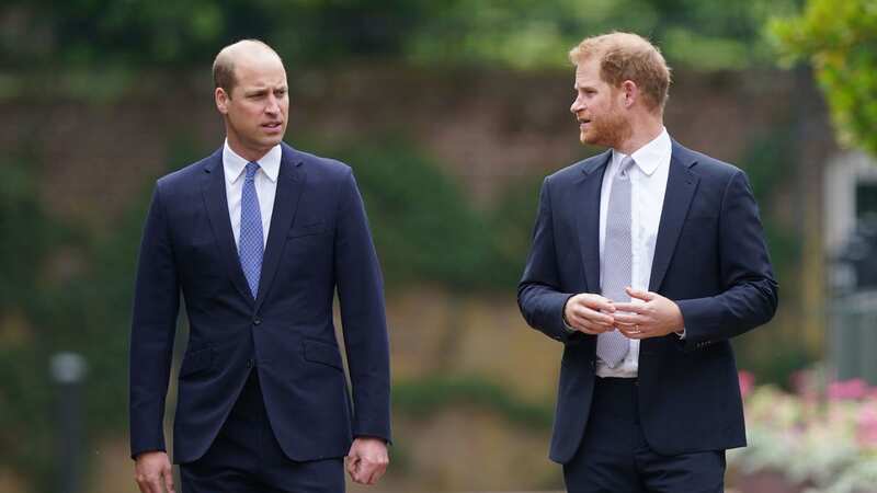 William and Harry will no doubt be upset by the new documentary (Image: Getty Images)