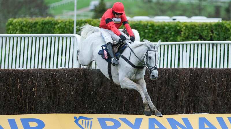 Harry Skelton riding Grey Dawning clear the last to win The Turners Novices