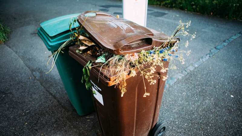 People will have to pay a fee in some places to have their brown bins collected (Image: Getty Images)