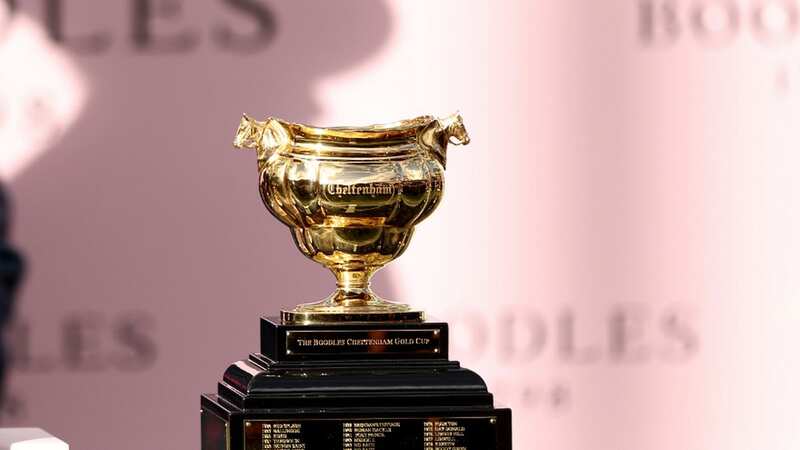 The Chelltenham Gold Cup close up (Image: PA)